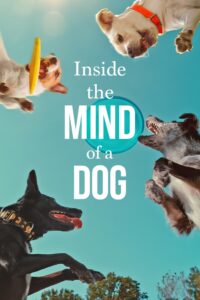Inside the Mind of a Dog อ่านใจสุนัข